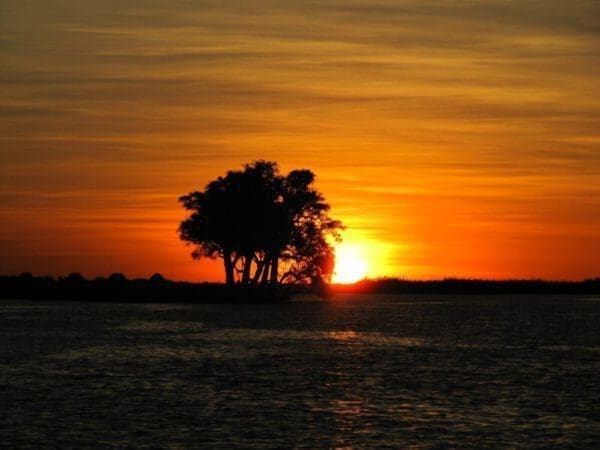 Sonnenuntergang am Chobe Fluss- Chobe National Park Botswana - Dusty Trails Safaris Namibia & Dusty Car Hire Namibia