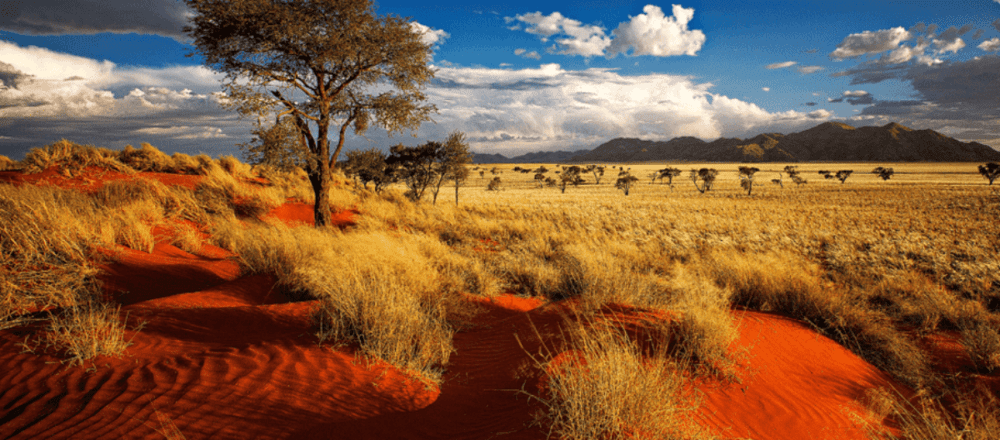 namibische savannenlandschaft - Dusty Trails Safaris Namibia &amp; Dusty Car Hire Namibia