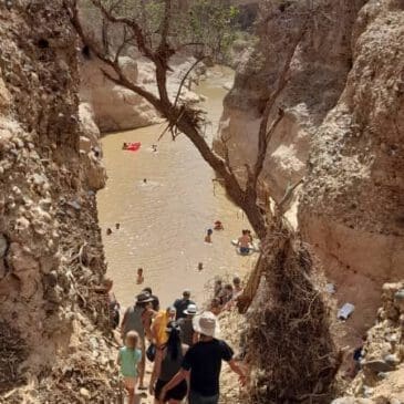 people swimming in sesriem canyon in rain season 2021 - Dusty Trails Safaris Namibia