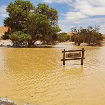 sossusvlei sign under water in rain season 2021 - Dusty Trails Safaris Namibia