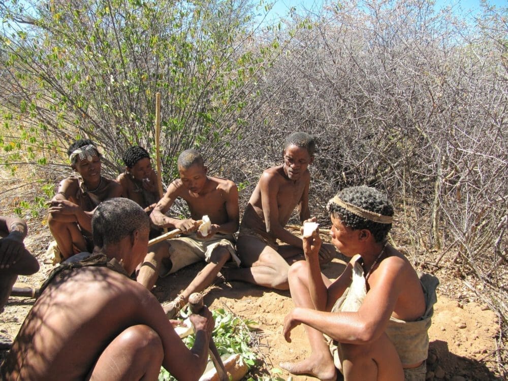 Namibian Bushmen eating water root plan - Dusty Trails Safaris Namibia