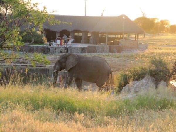 Lapa-Bereich von Elephant Sands Logde Botswana vom Campingplatz aus aufgenommen - Dusty Trails Safaris Namibia