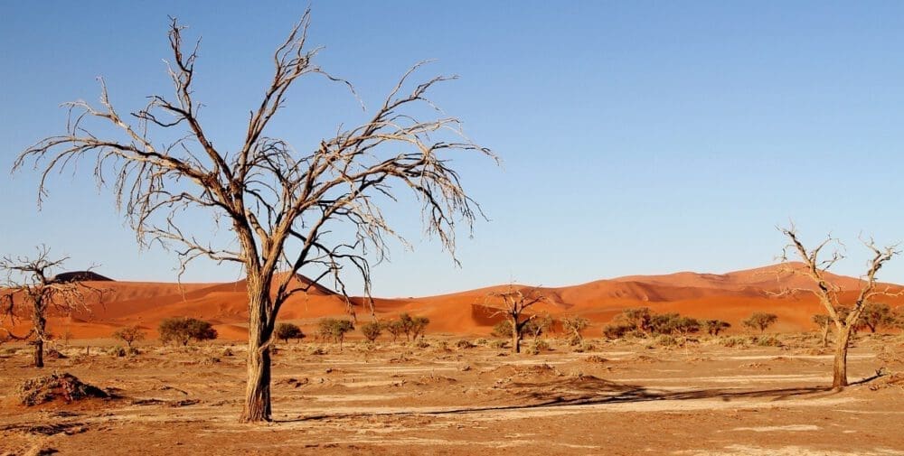 Namibian desert - Dusty Trails Safaris Namibia