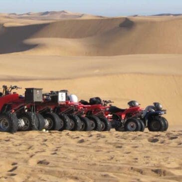 Quads in den Dünen - Swakopmund Namibia - Dusty Trails Safaris Namibia & Dusty Mietwagen Namibia