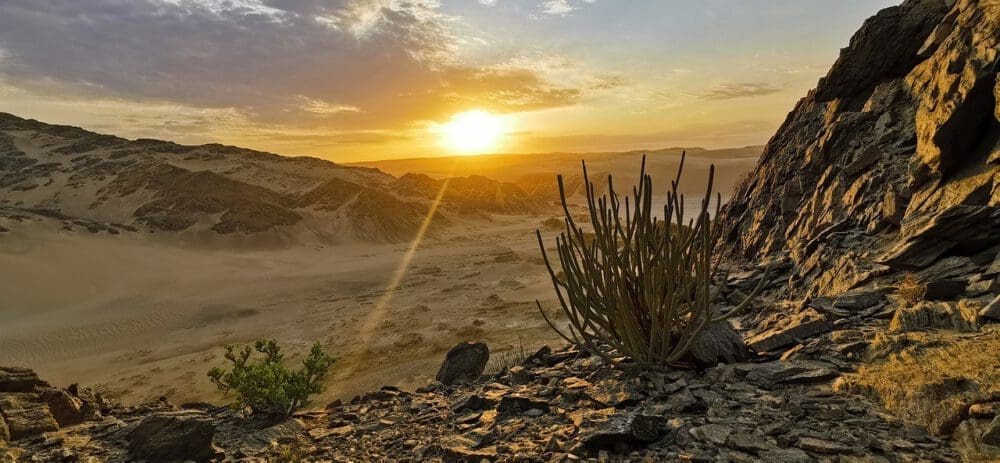 Sonnenuntergang in der namibischen Wüste - Dusty Trails Safaris Namibia & Dusty Car Hire Namibia