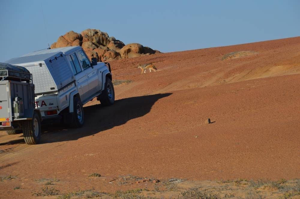Sandhügelaufstieg - Dusty Trails Safaris Namibia &amp; Dusty Car Hire Namibia