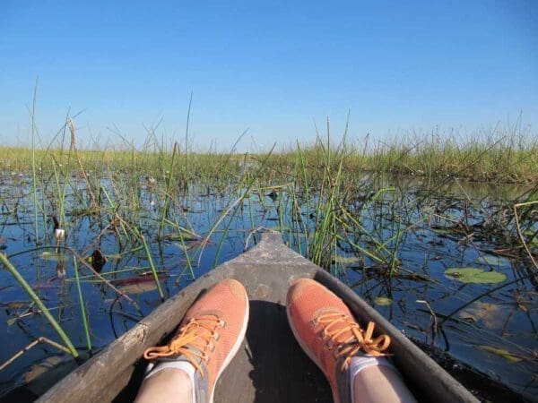view into the swamplands on a mokkoro tour in Okavango Delta - Dusty Trails Safaris Namibia & Dusty Car Hire Namibia