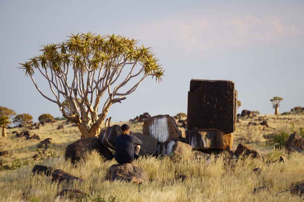Köcherbaum und Doloritfelsen sehen aus wie ein alter Fernseher - Dusty Trails Safaris Namibia &amp; Dusty Car Hire Namibia