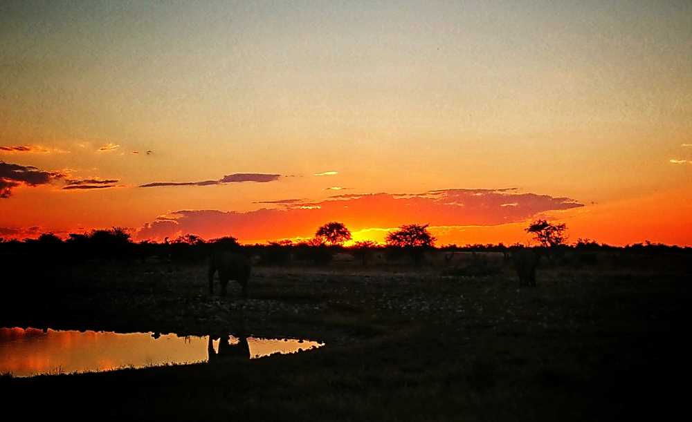 romantic sunset with elephant at Okaukejo waterhole