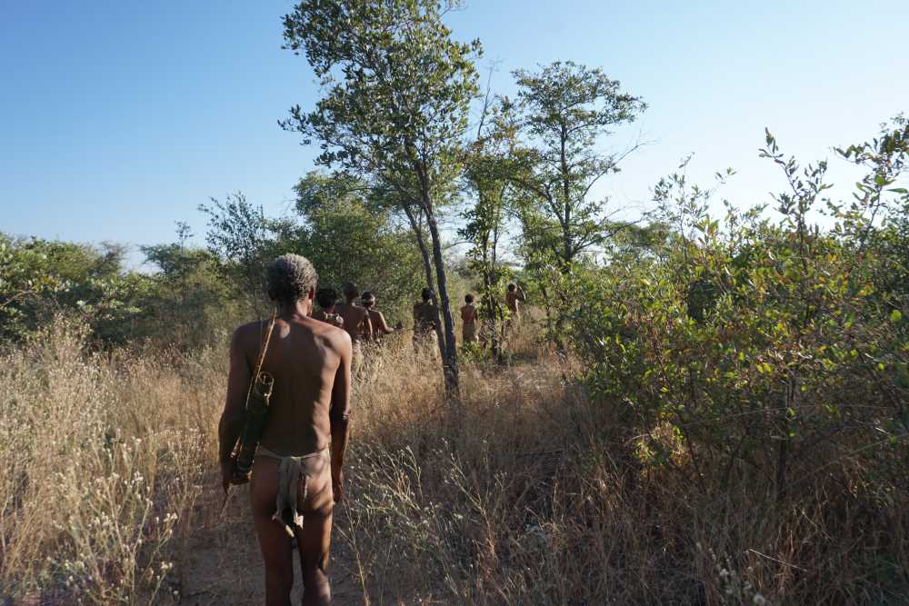 Bushwalk with the san people from the little hunters living museum
