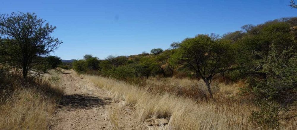 header image - Khomas mountain landscape at Duesternbrook Guest Farm