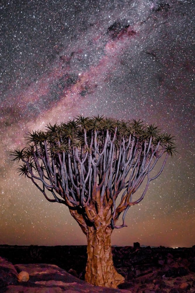 stargazing in Namibia