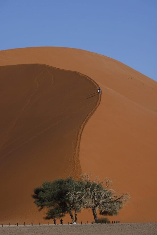 Dune 43 at Sossousvlei area - Namibia